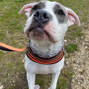 Meet your Posher, Clarissa